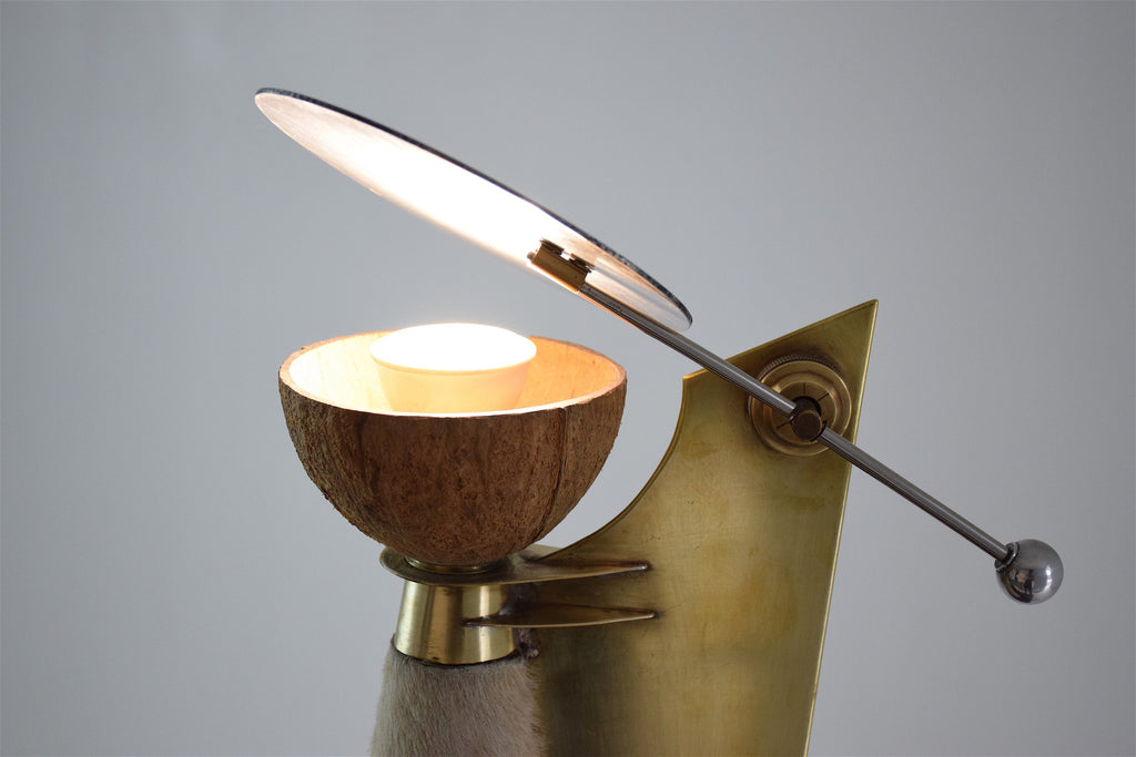 Coconut Lamp by Pucci de Rossi, France, 1980's - Spirit Gallery 